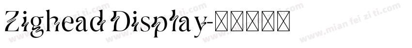 Zighead Display字体转换